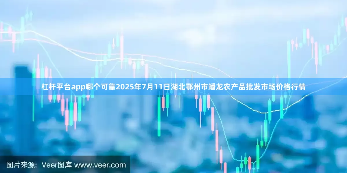 杠杆平台app哪个可靠2025年7月11日湖北鄂州市蟠龙农产品批发市场价格行情