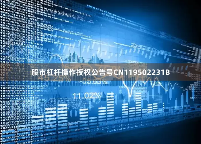 股市杠杆操作授权公告号CN119502231B