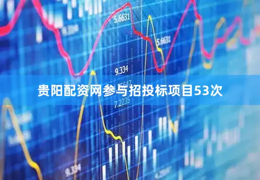 贵阳配资网参与招投标项目53次