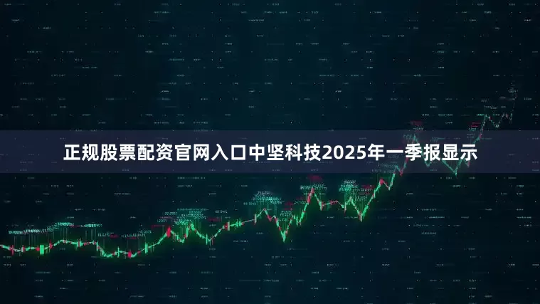正规股票配资官网入口中坚科技2025年一季报显示