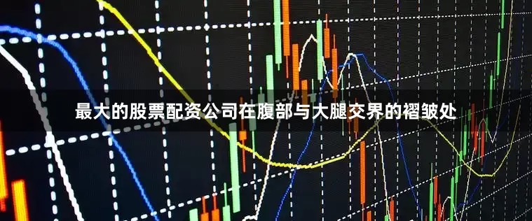 最大的股票配资公司在腹部与大腿交界的褶皱处